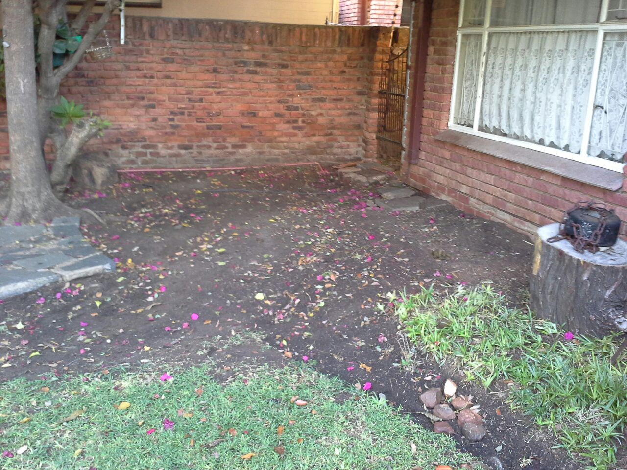 Paving Patio & Pool