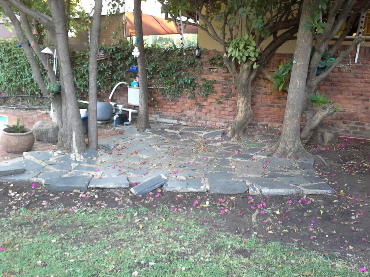 Paving Patio & Pool